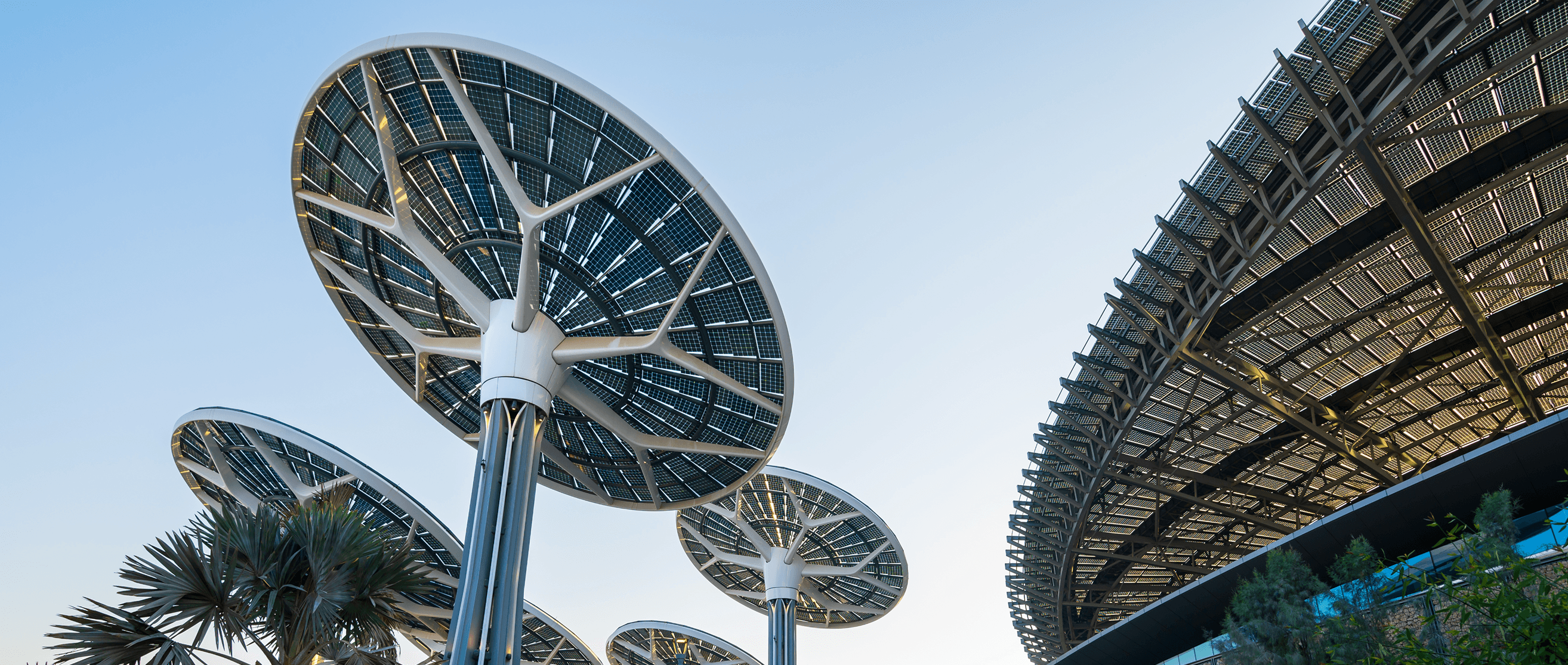 Sustainability Background